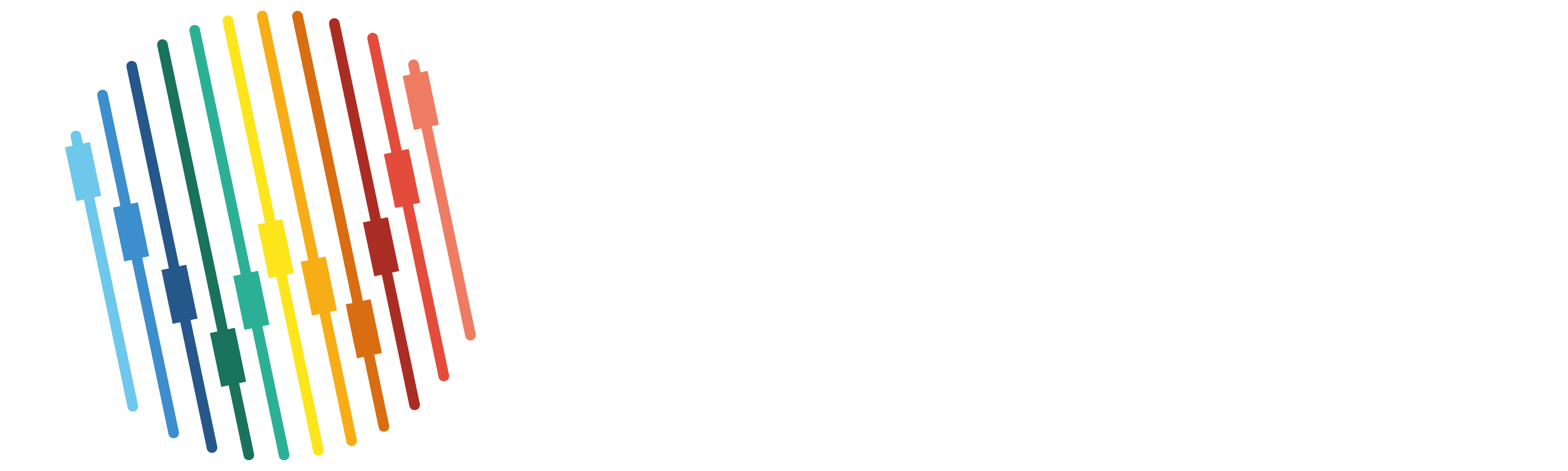 Watt'ESS Radio